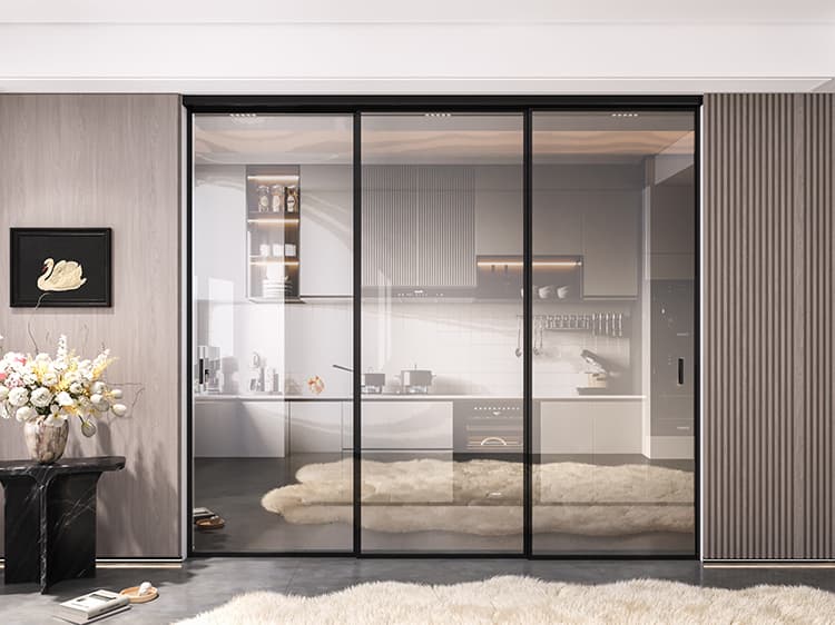 Starlight Monorail Pocket Door